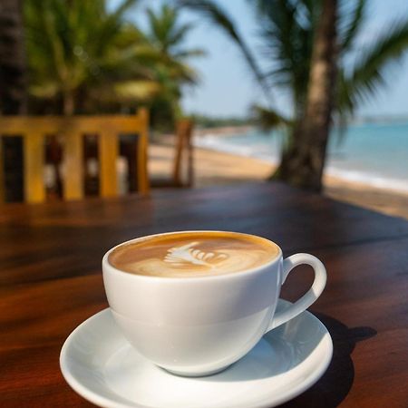Serenity Beach Cabanas تانجالي المظهر الخارجي الصورة